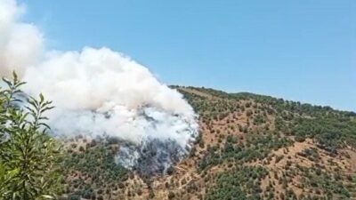 Aydın’ın Sultanhisar ilçesinde sarp arazide, ormanlık ve makilik alanda başlayan