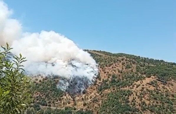 Aydın’ın Sultanhisar ilçesinde sarp arazide, ormanlık ve makilik alanda başlayan