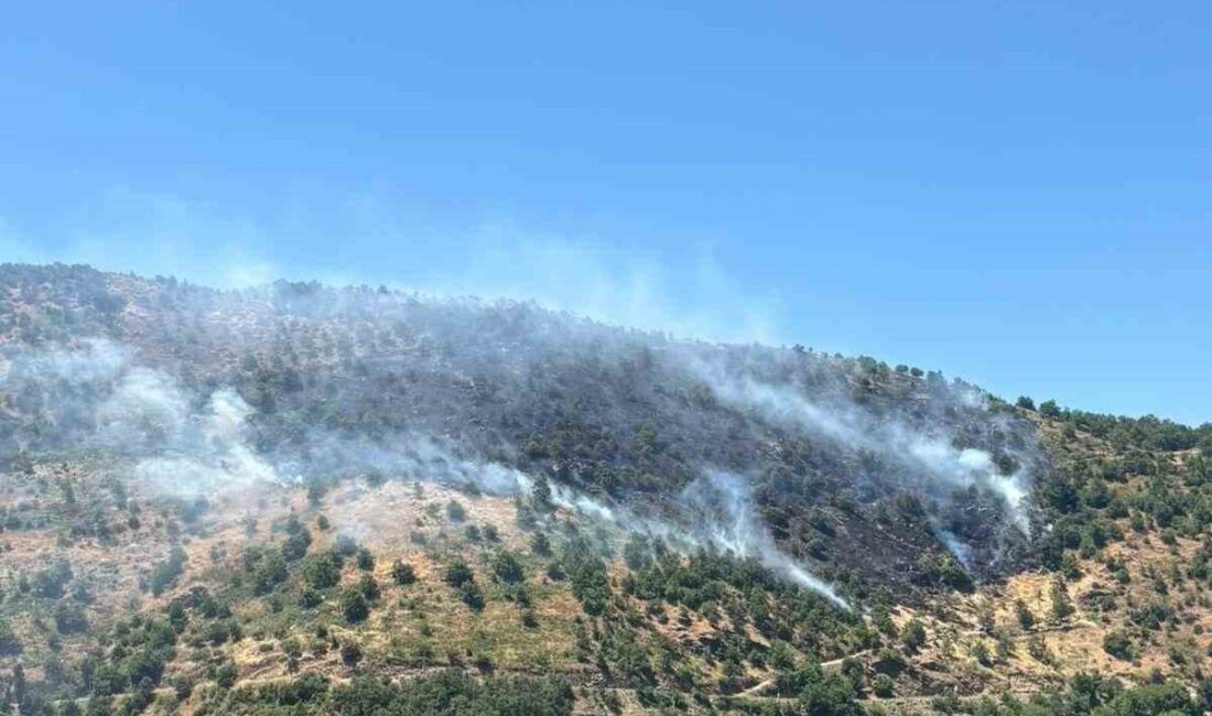 Sultanhisar ilçesinde, dik arazide çıkan yangının söndürülmesi için hem havadan