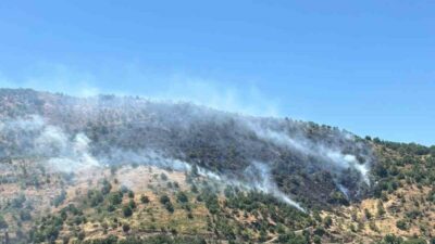 Sultanhisar ilçesinde, dik arazide çıkan yangının söndürülmesi için hem havadan