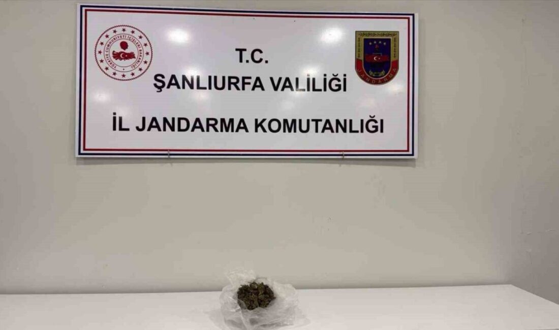 Şanlıurfa’da, şüpheli davranışlar sergileyen bir kişinin üzerinden 100 gram esrar