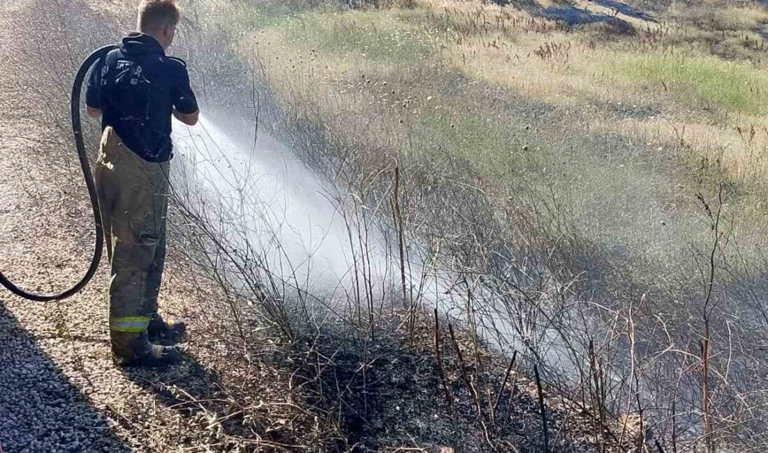 Susurluk ilçesi, Balıkesir’deki iki mahalle arasındaki arazi ve korulukta çıkan