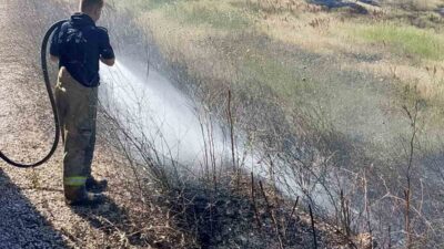Susurluk ilçesi, Balıkesir’deki iki mahalle arasındaki arazi ve korulukta çıkan