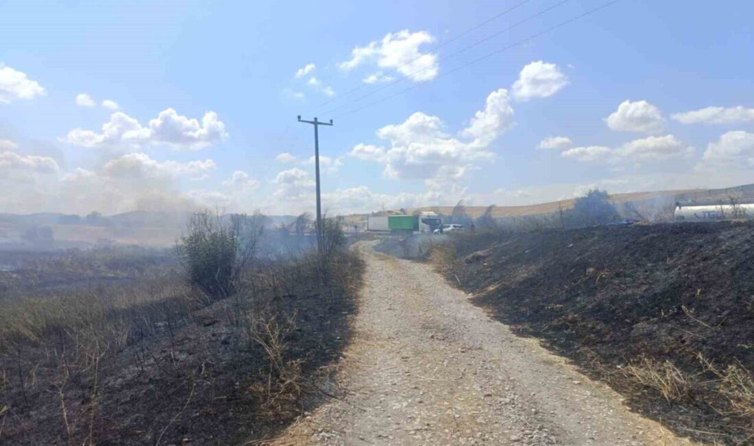Balıkesir’in Susurluk ilçesinde meydana gelen otluk ve sazlık alan yangını,