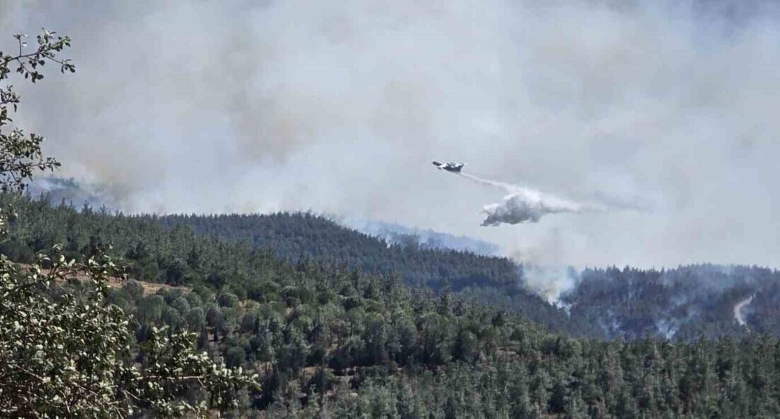 Balıkesir’in Gömeç ilçesinde 3 gündür devam eden yangınla mücadele devam