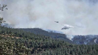 Balıkesir’in Gömeç ilçesinde 3 gündür devam eden yangınla mücadele devam