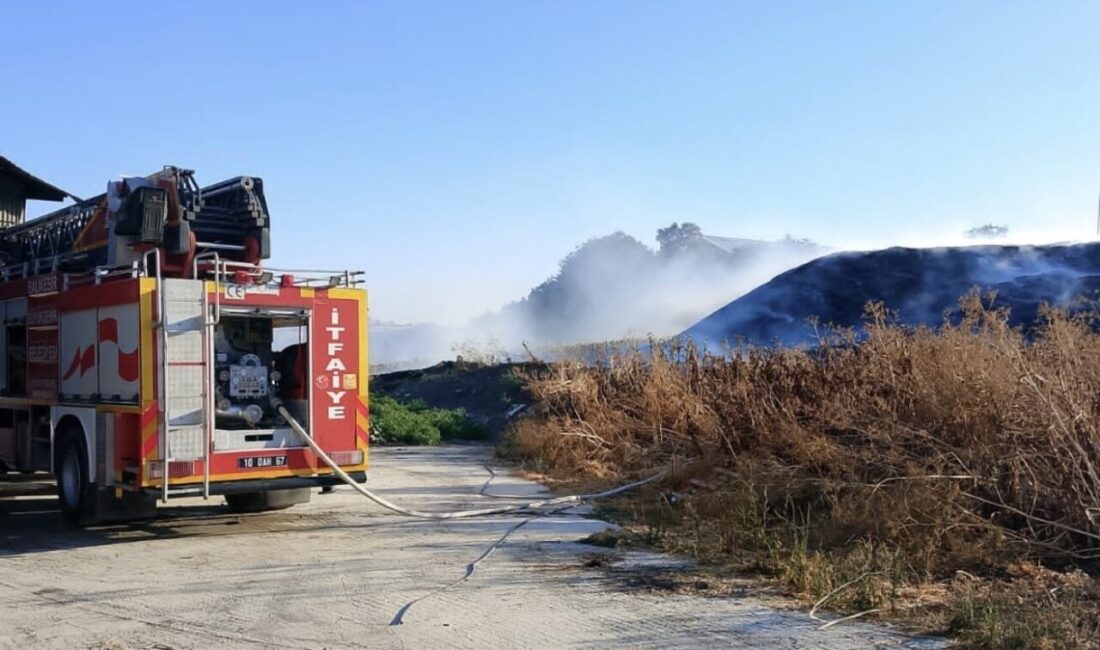 Susurluk ilçesinde meydana gelen yangın, itfaiye ekiplerinin hızlı müdahalesiyle kontrol