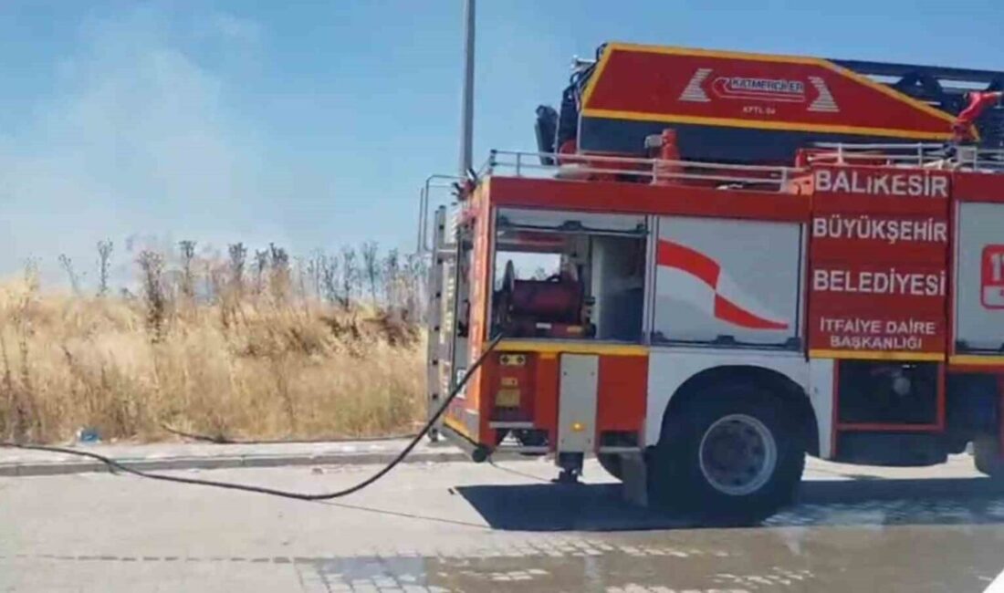 Susurluk ilçesindeki kapalı pazar yerinin karşısında bulunan otluk alanda meydana
