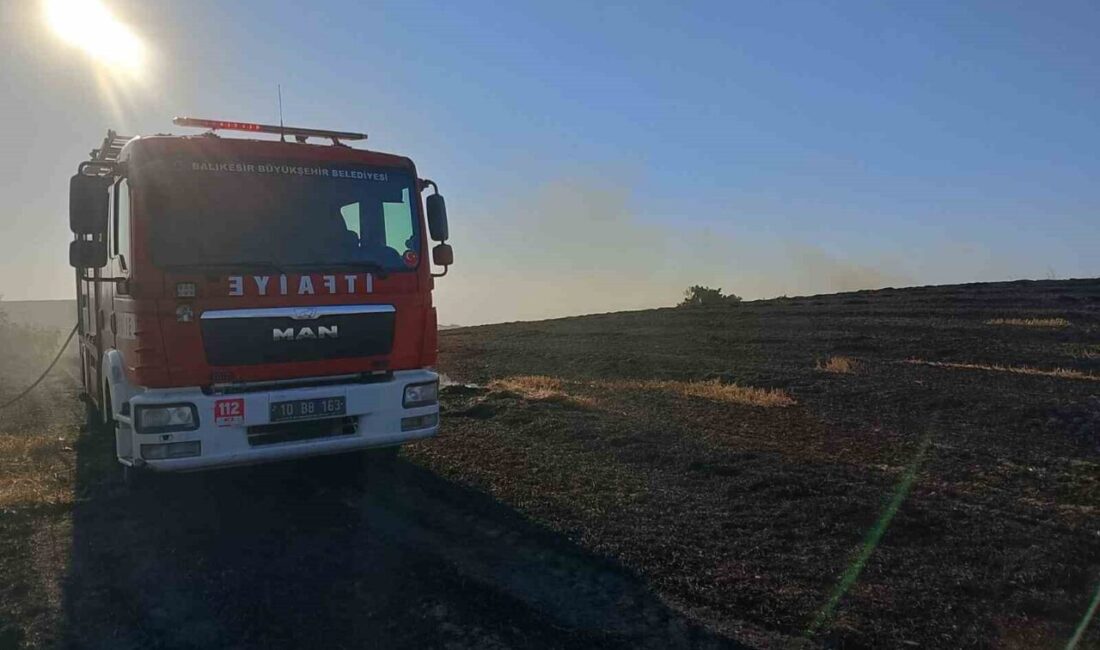 Balıkesir’in Susurluk ilçesinde meydana gelen arazi yangını, Susurluk, Manyas ve