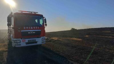 Balıkesir’in Susurluk ilçesinde meydana gelen arazi yangını, Susurluk, Manyas ve