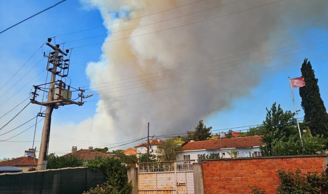 Balıkesir’in Susurluk ilçesinde devam eden orman yangınına karadan ve havadan