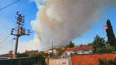 Balıkesir’in Susurluk ilçesinde devam eden orman yangınına karadan ve havadan
