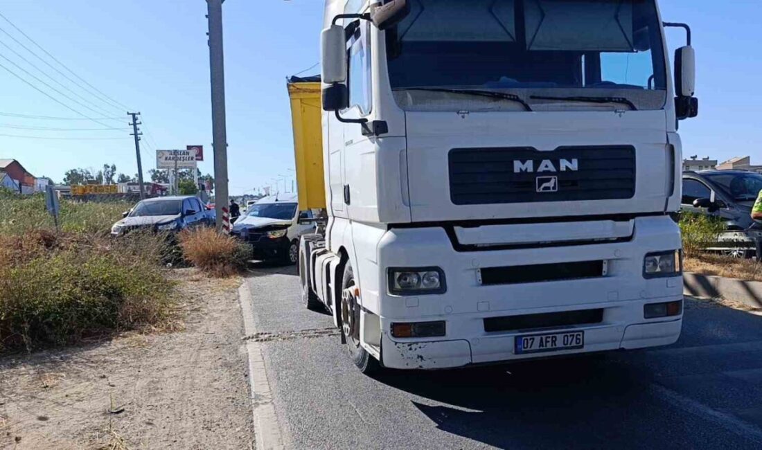 Manavgat ilçesinde meydana gelen bir trafik kazasında, bir hafif ticari