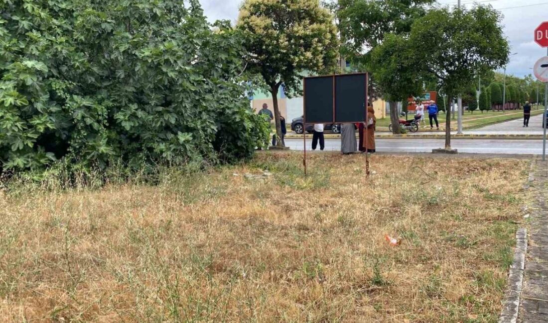 Kocaeli’nin Gölcük ilçesinde bir kişinin amcasını palayla öldürdüğü olayda, zanlı