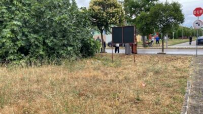 Kocaeli’nin Gölcük ilçesinde bir kişinin amcasını palayla öldürdüğü olayda, zanlı