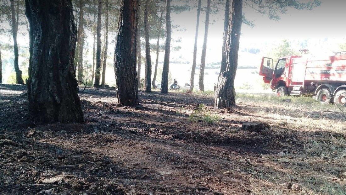 Kütahya’nın Tavşanlı ilçesinde meydana gelen orman yangını, ekiplerin hızlı ve