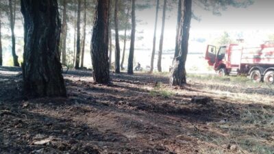 Kütahya’nın Tavşanlı ilçesinde meydana gelen orman yangını, ekiplerin hızlı ve