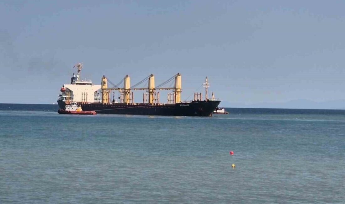 Tekirdağ açıklarında, 27 bin 500 ton çeltik yüklü Sao Tome