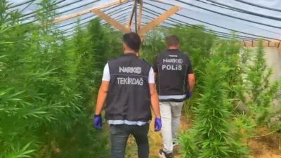 Tekirdağ’ın Süleymanpaşa ilçesinde polis tarafından gerçekleştirilen operasyonda bir bağ evinde