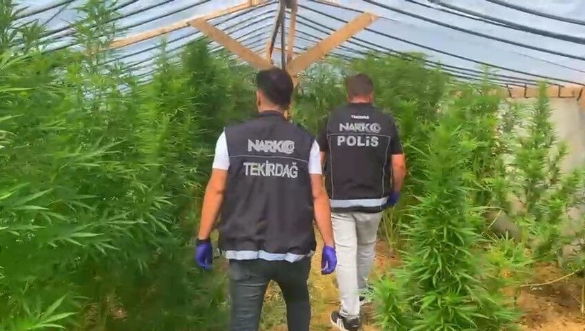 Tekirdağ’ın Süleymanpaşa ilçesinde polis tarafından gerçekleştirilen operasyonda bir bağ evinde