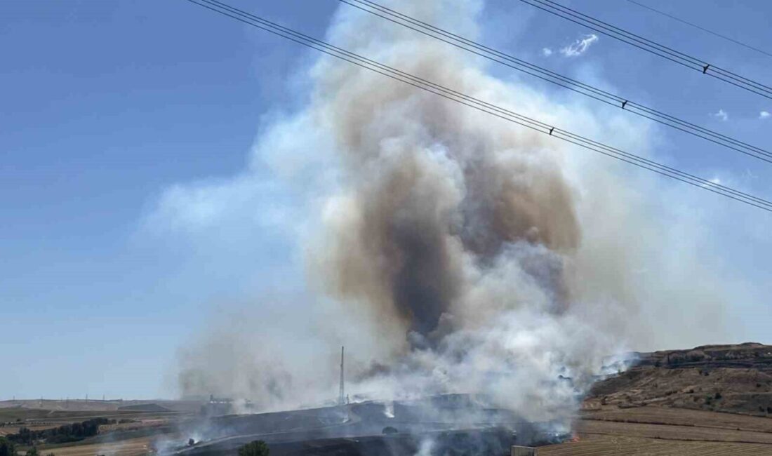 Tekirdağ’ın Çorlu ilçesinde, Karatepe bölgesinde çıkan anız yangınında, 500 dönümlük