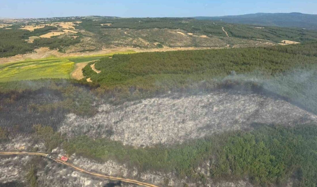 Malkara ilçesindeki ormanlık alanda çıkan yangın, ekiplerin karadan ve havadan