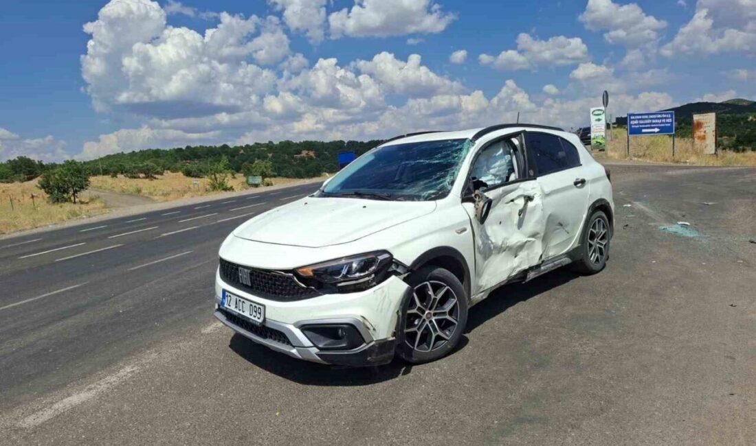 Bir trafik kazası, Bingöl-Muş karayolu Sarıçiçek köyü Kantar Konutları mevkiinde