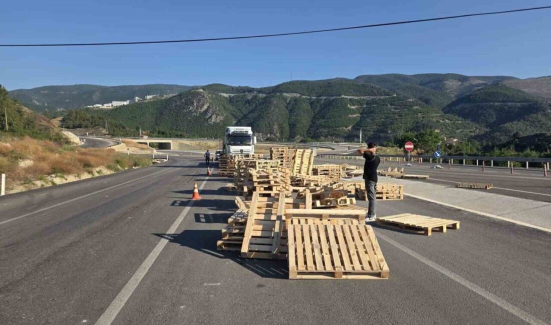 Kastamonu’nun Hanönü ilçesinde bir tırın taşıdığı ahşap paletler yola saçılarak