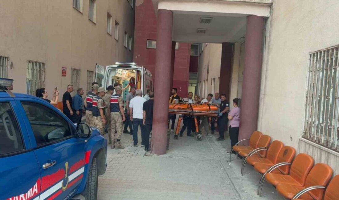 Hakkâri’deki Süpha Dürek Zirvesi’ne tırmanış yaparken kaybolan Bursalı dağcının cesedi,