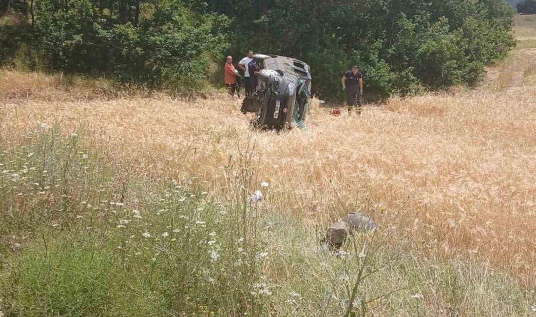 Niksar’ın Çamiçi Yaylası Cer Köyü mevkiinde meydana gelen trafik kazasında,