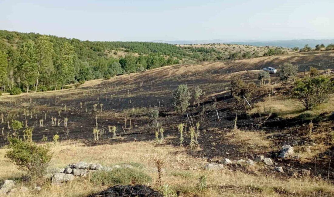 Tokat’ın Yeşilyurt ilçesindeki bir örtü yangınında yaklaşık 15 dönüm ekili