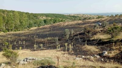 Tokat’ın Yeşilyurt ilçesindeki bir örtü yangınında yaklaşık 15 dönüm ekili