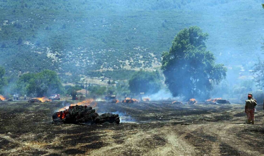 Muğla’nın Menteşe ilçesine bağlı Yeşilyurt Mahallesi’ndeki bir tarlada çıkan yangında