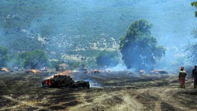 Muğla’nın Menteşe ilçesine bağlı Yeşilyurt Mahallesi’ndeki bir tarlada çıkan yangında