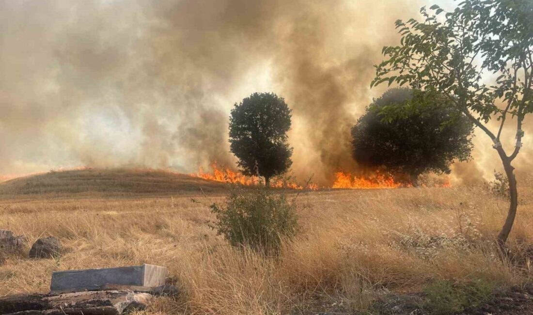 Adıyaman’ın Gölbaşı ilçesinde meydana gelen bir olayda, bir elektrik trafosunun