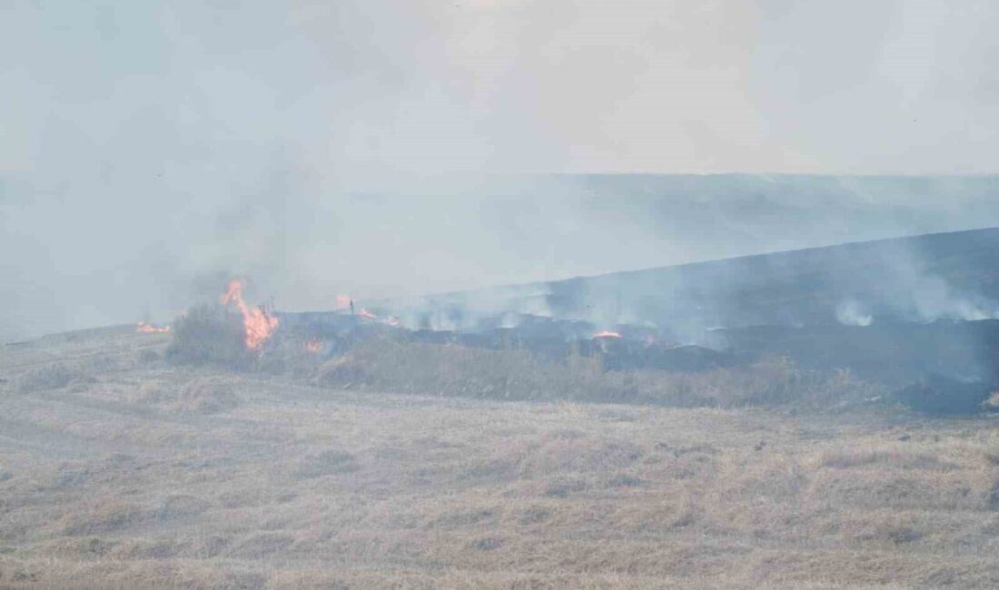 Malkara ilçesinde bir traktörden römorka sıçrayan kıvılcımın tetiklediği yangın sonucunda
