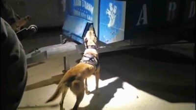 Şanlıurfa’da polis ekipleri tarafından izlenen bir şahsın kullandığı traktörün kasasından