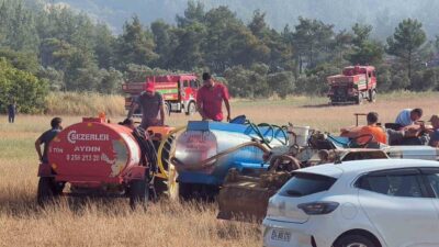 Muğla’nın Menteşe ilçesine bağlı Yenice Mahallesi’nde tarım arazisinde başlayan yangın,