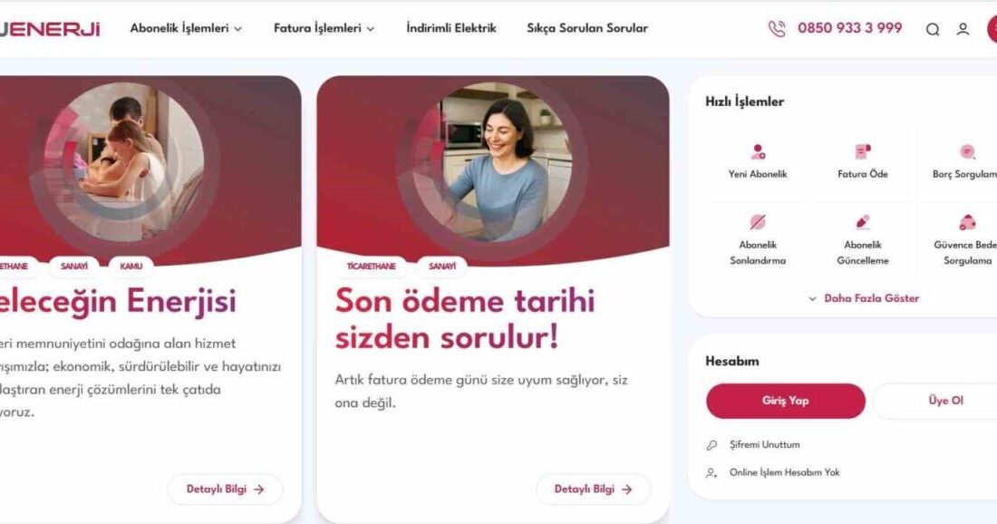 Zorlu Enerji Osmangazi Elektrik Perakende (OEPSAŞ), tüketici beklentileri ve dijital