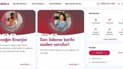 Zorlu Enerji Osmangazi Elektrik Perakende (OEPSAŞ), tüketici beklentileri ve dijital