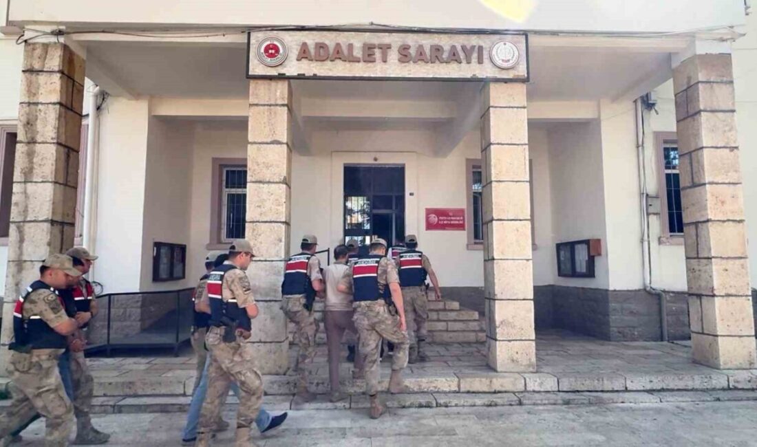 Tunceli merkezli gerçekleştirilen bir siber dolandırıcılık operasyonunda 11 şüpheli tutuklandı.