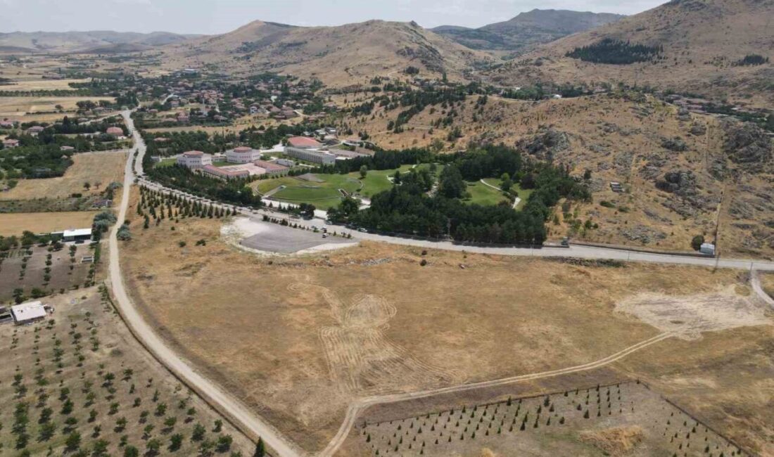 Kırşehir’in Kaman ilçesinde bulunan Ceviz Kafe, 2025 yılında açıldığından beri