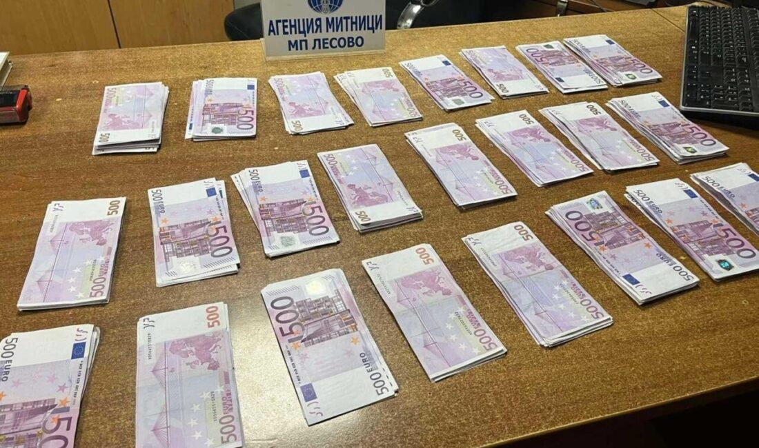 Türkiye’nin Edirne iline bağlı Hamzabeyli Sınır Kapısı’nda çıkış yapan bir