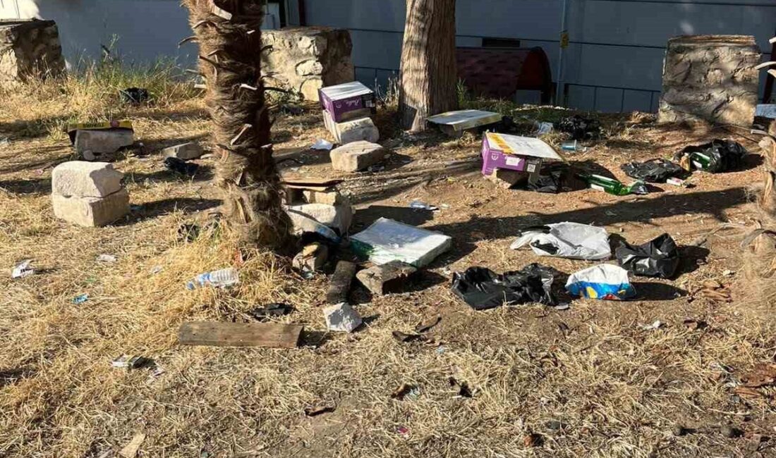 Bilecik’te, İstiklal Mahallesi’nde yer alan ağaçlık alan, alkol tüketen kişilerin