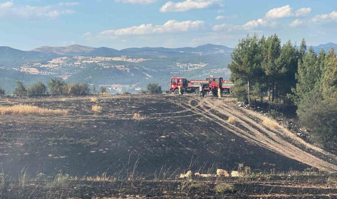 Uşak ilinde tarım arazisinde başlayan yangın, rüzgarın etkisiyle ormanlık alana