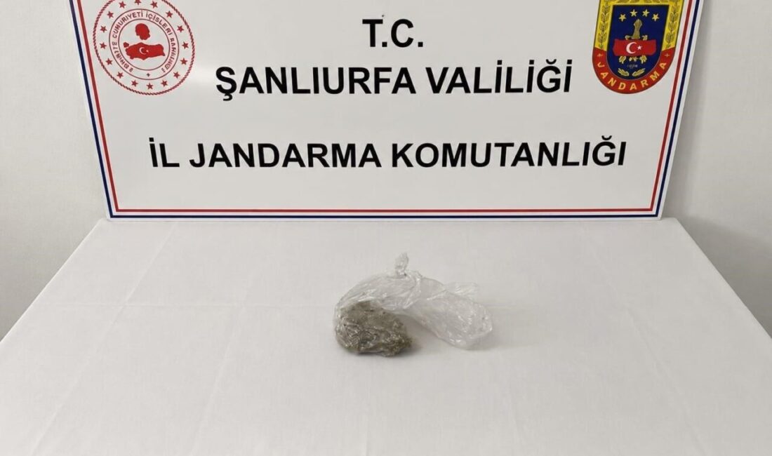 Şanlıurfa’nın Birecik ve Suruç ilçelerinde gerçekleştirilen operasyonlarda uyuşturucu madde, silah