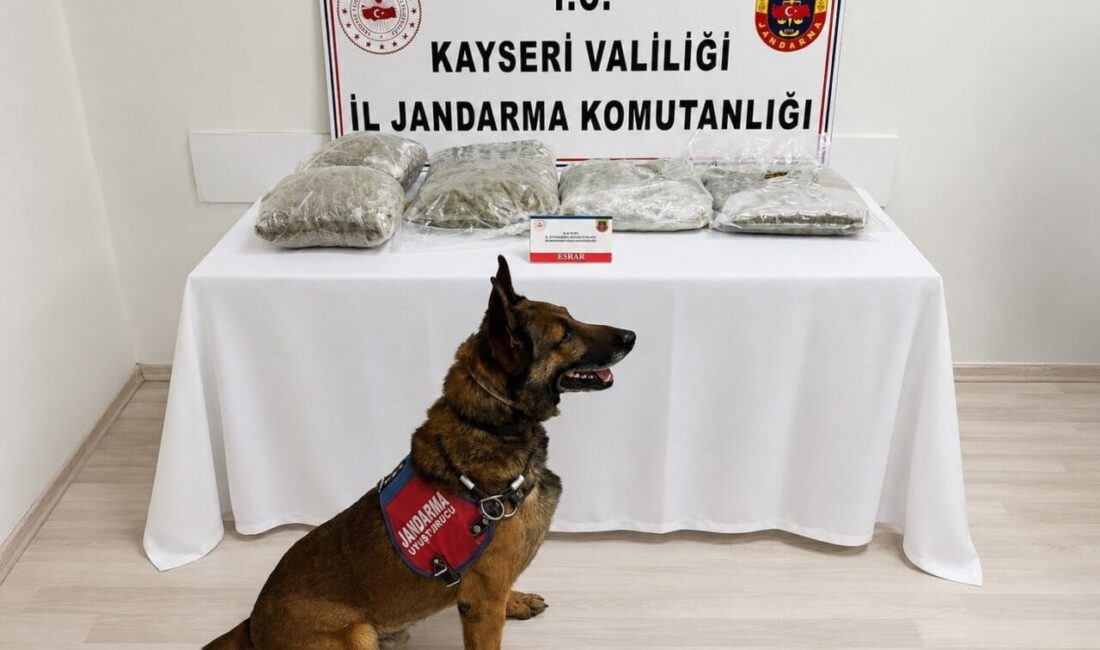 CHP Talas Belediyesi Meclis Üyesi, Kayseri’de jandarma ekipleri tarafından yaklaşık
