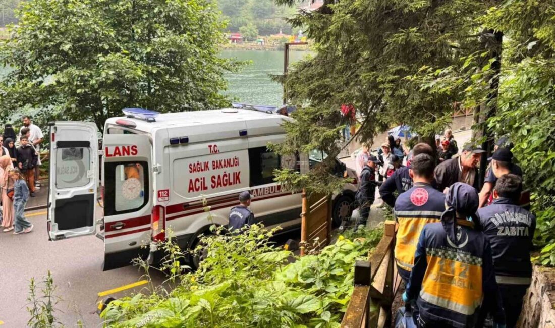 Trabzon’un Çaykara ilçesindeki Uzungöl beldesinde bulunan seyir terasında bir otomobil