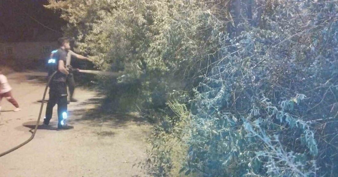 Van’ın Başkale ilçesinde bir bahçede başlayan yangın, itfaiye ekipleri tarafından