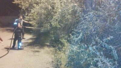 Van’ın Başkale ilçesinde bir bahçede başlayan yangın, itfaiye ekipleri tarafından
